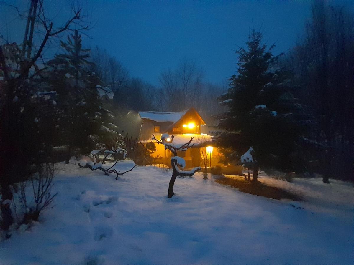 Cabana Din Padurea Valeni Vălenii de Munte Kültér fotó