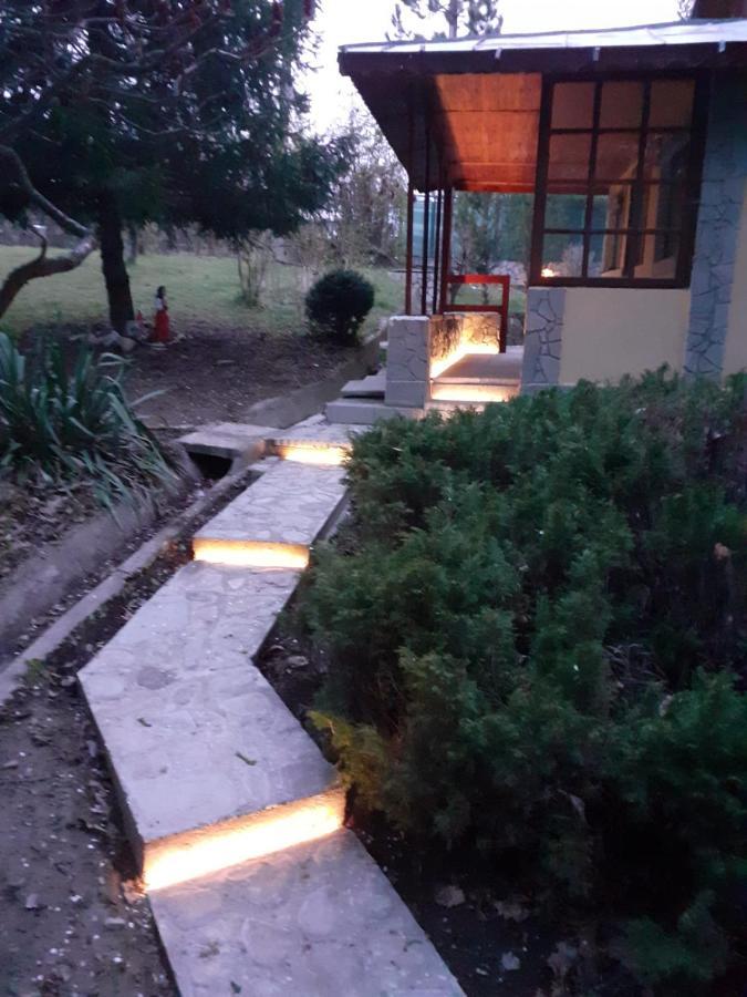 Cabana Din Padurea Valeni Vălenii de Munte Kültér fotó