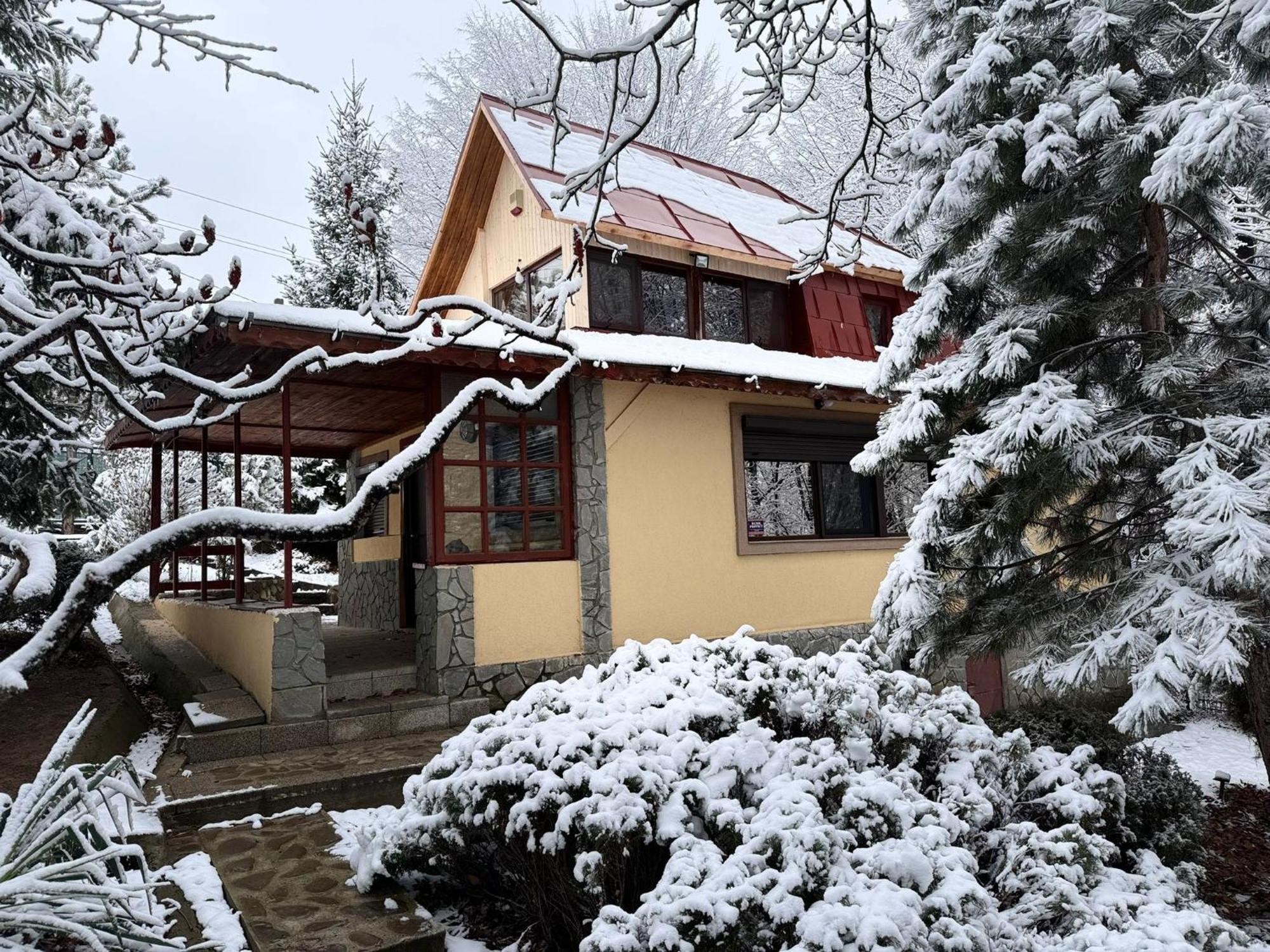 Cabana Din Padurea Valeni Vălenii de Munte Kültér fotó