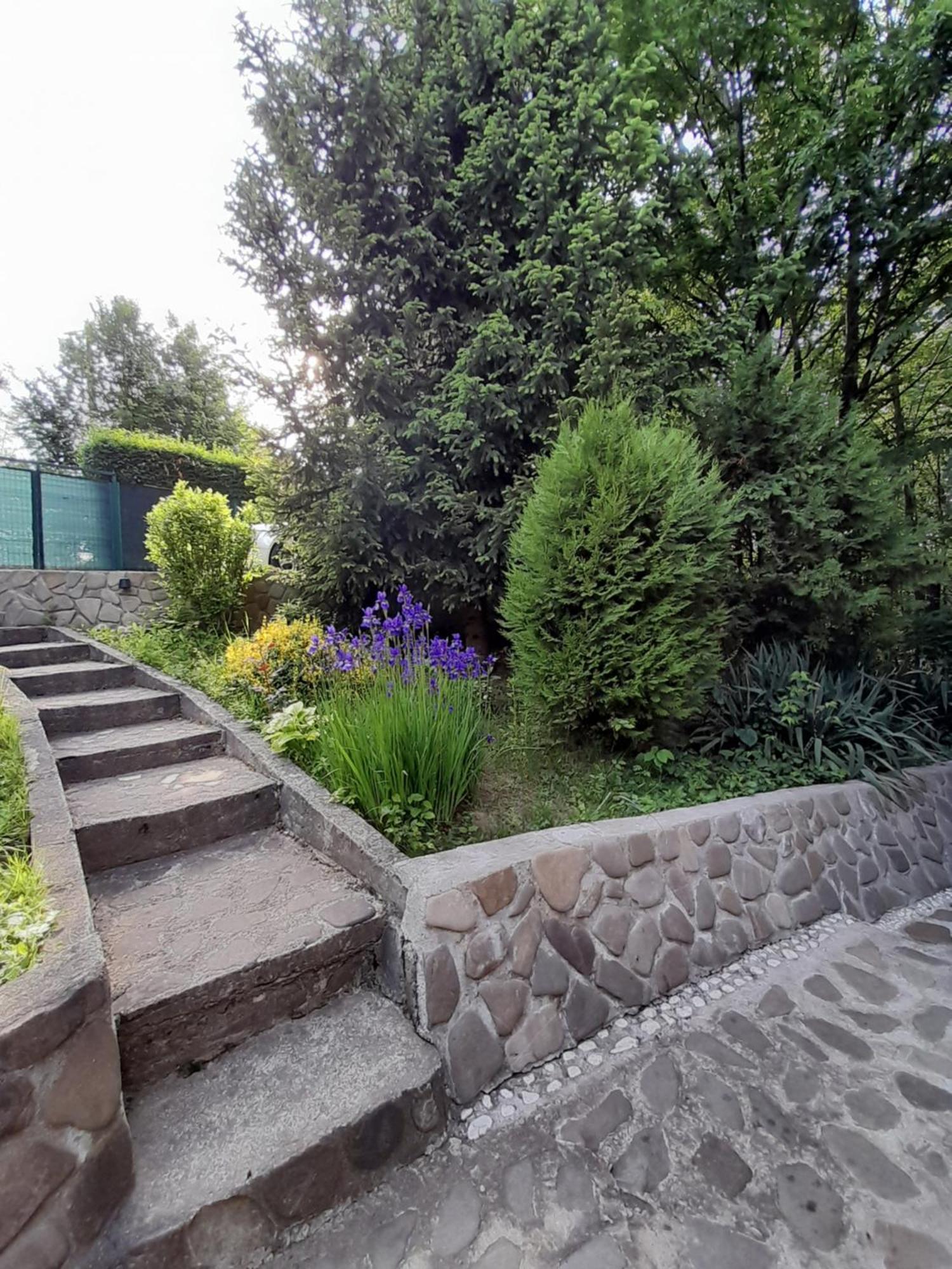 Cabana Din Padurea Valeni Vălenii de Munte Kültér fotó