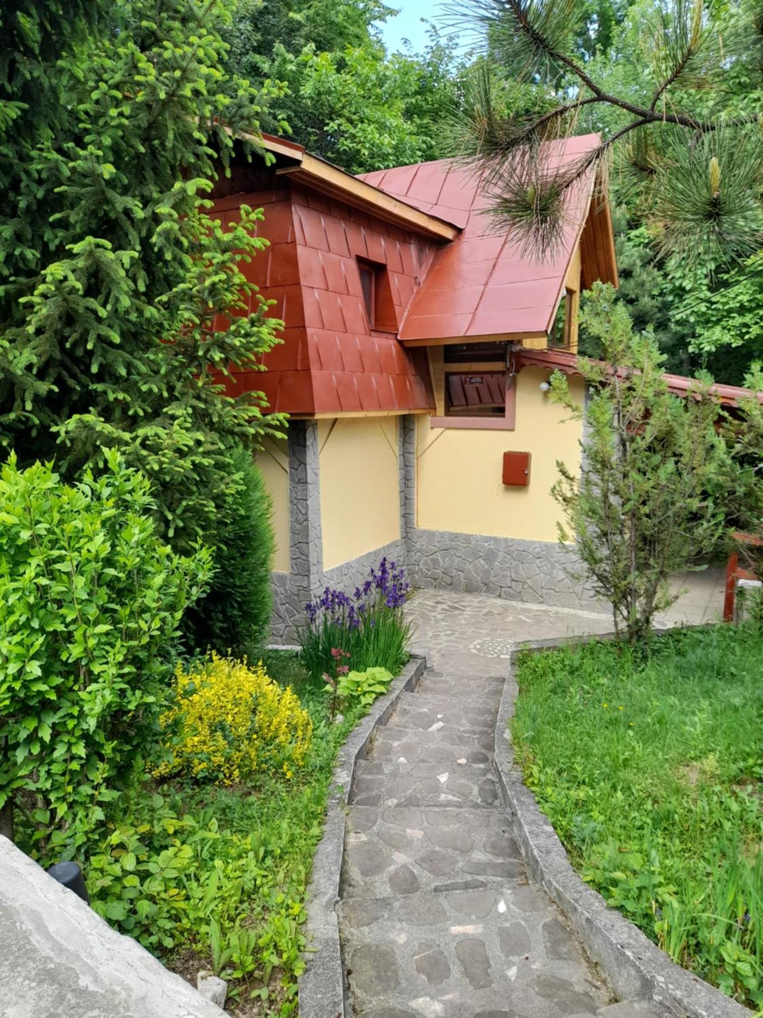 Cabana Din Padurea Valeni Vălenii de Munte Kültér fotó